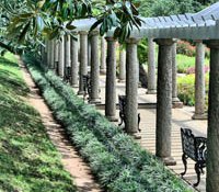 Pergola Canopy