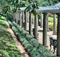 Pergola Canopy