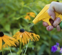 Fertilization 101 – Growing Vegetables In Your Organic Garden