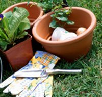 Requisites Of The Home Vegetable Garden