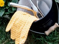 Picking the Right Gardening Tools