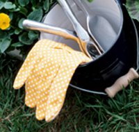 Picking the Right Gardening Tools